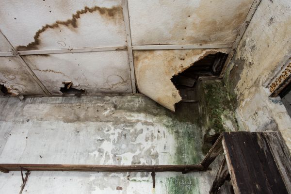 Water Damage Service in Delray Beach