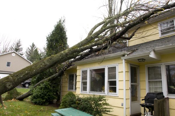 Hurricane Damage Repair in Delray Beach